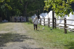 ZdL_2019-886