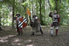 ZdL_2019-991